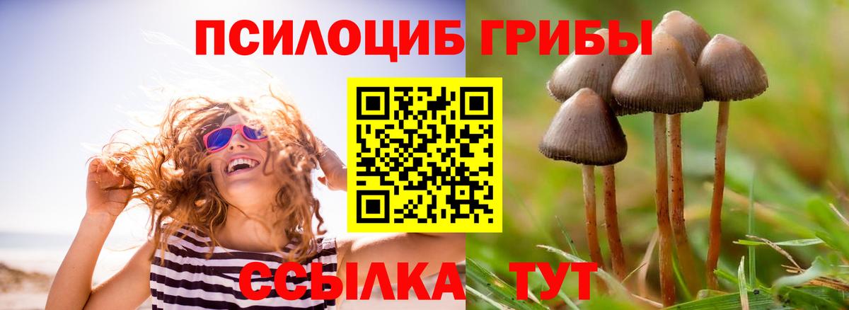 Еманжелинск  Псилоцибиновые грибы MAGIC MUSHROOMS  Вход с VPN 